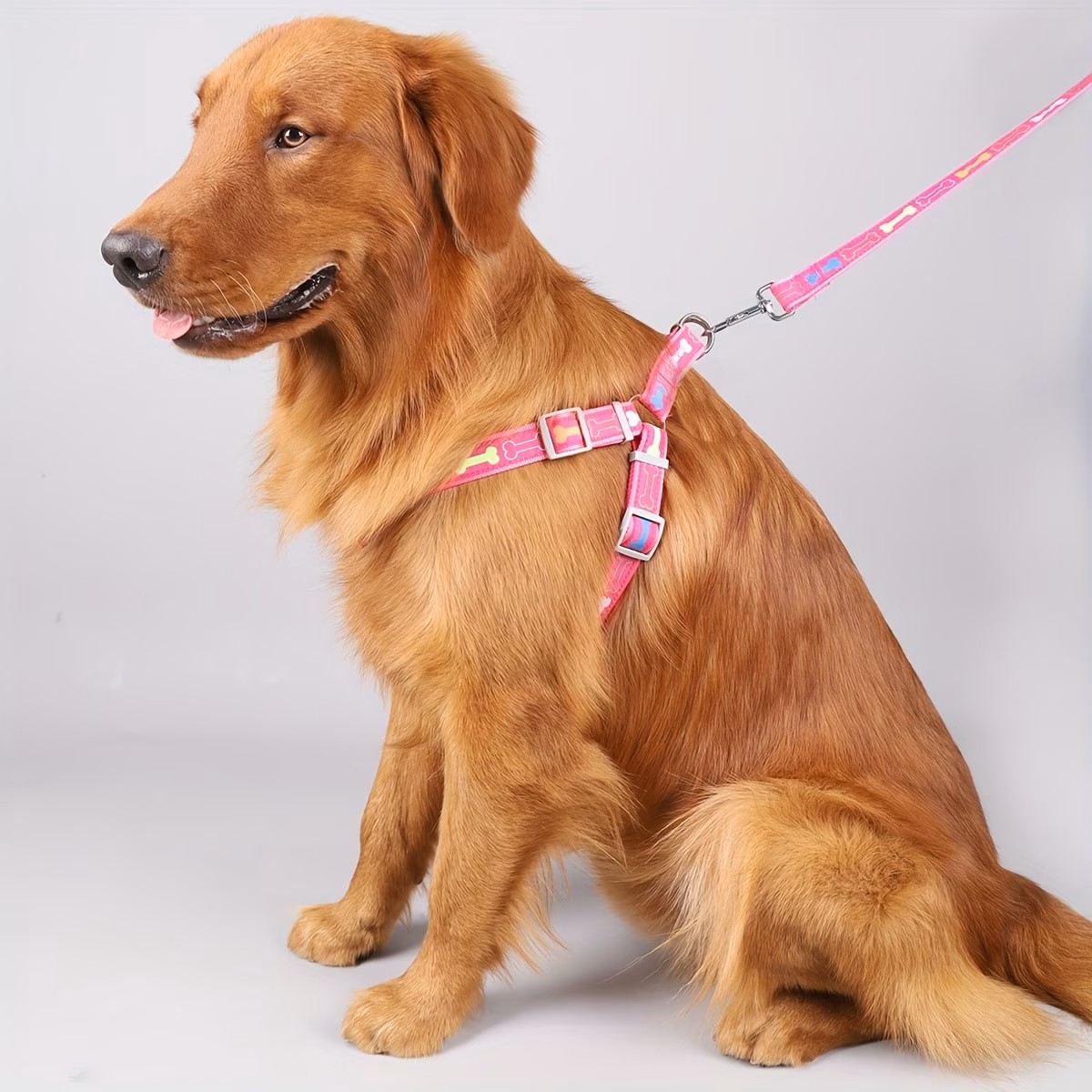Adjustable Dog Harness with Qu - D Ring Strap ulasan dan harga